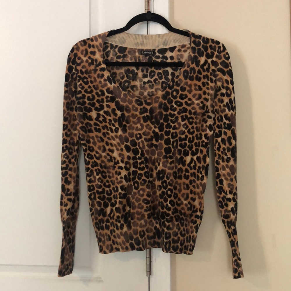 Cheetah Print Sweater